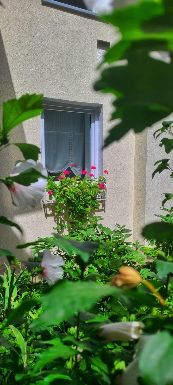Anna'S Guesthouse Клуж-Напока Екстер'єр фото